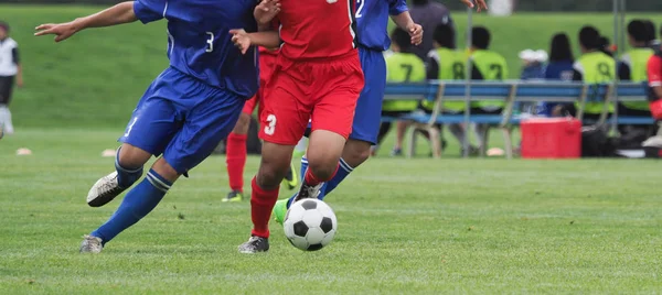Georgia vs Cabo Verde: Phân Tích Trận Giao Hữu Quốc Tế Ngày 8/6/2025
